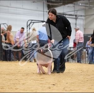 Meet your Posher, Keely